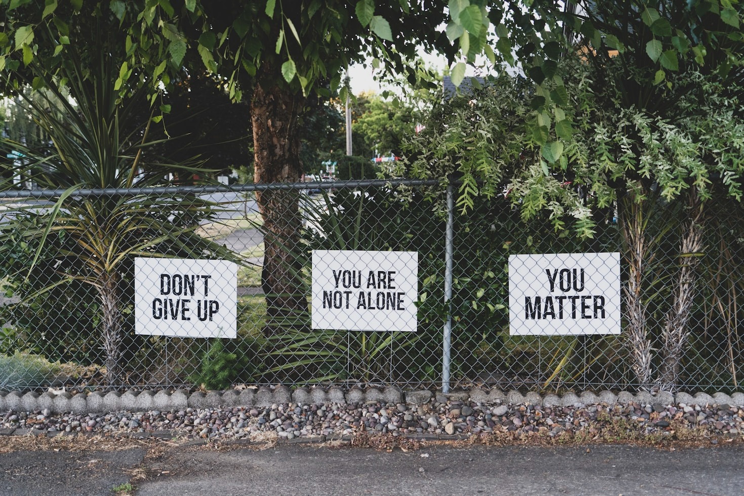 Navigating Life with Person-Centred Counselling